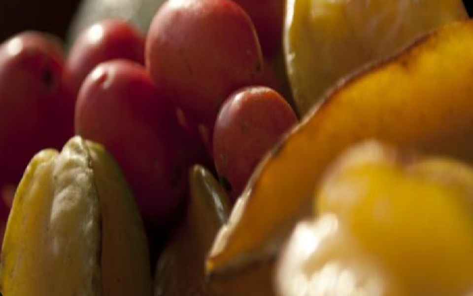 Informe de mercado para frutas tropicales en Alemania 